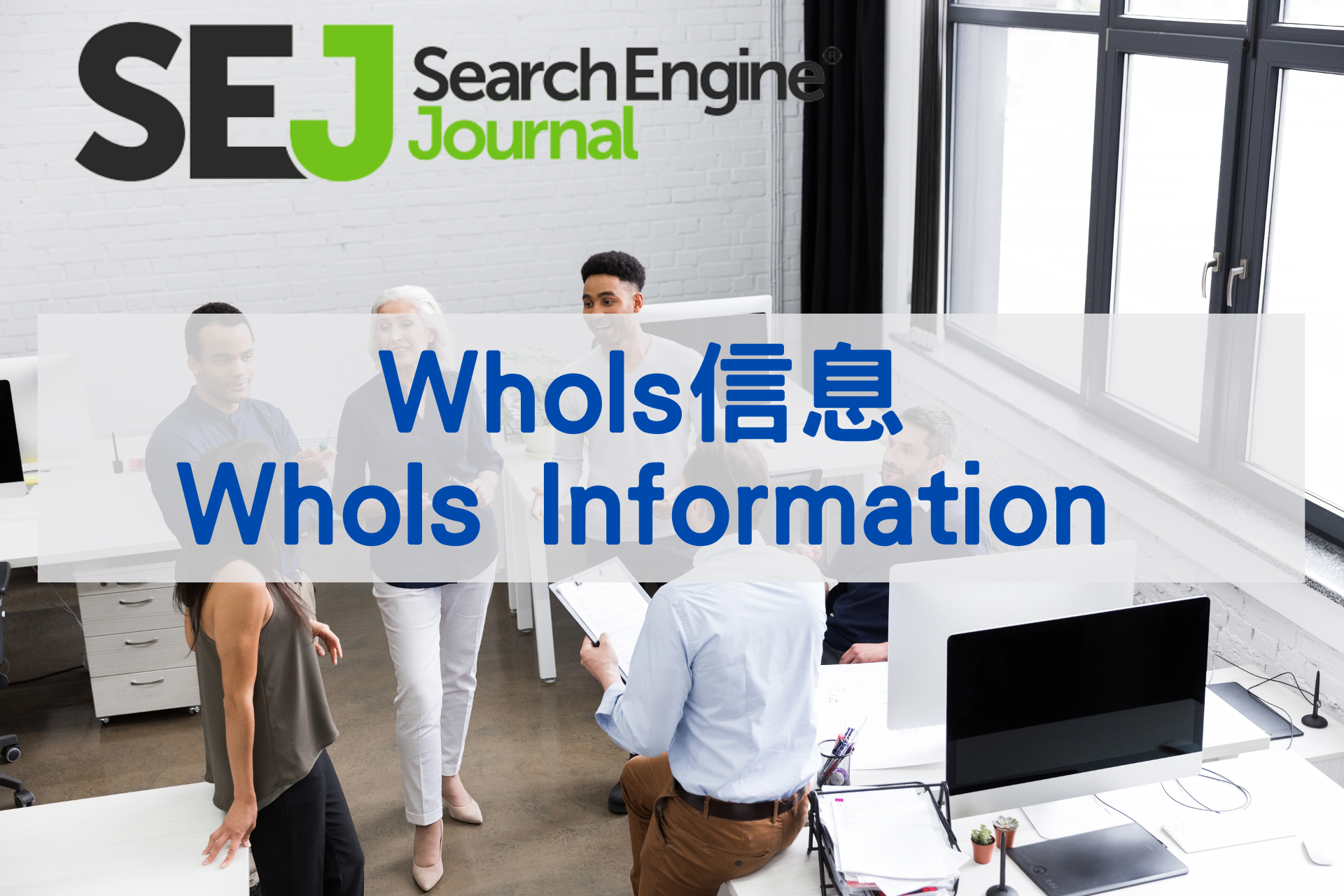 WhoIs 信息(WhoIs Information)