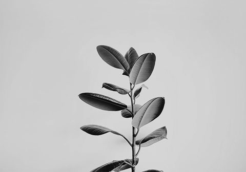 iFunnels銷售漏斗網站 11 feature 6