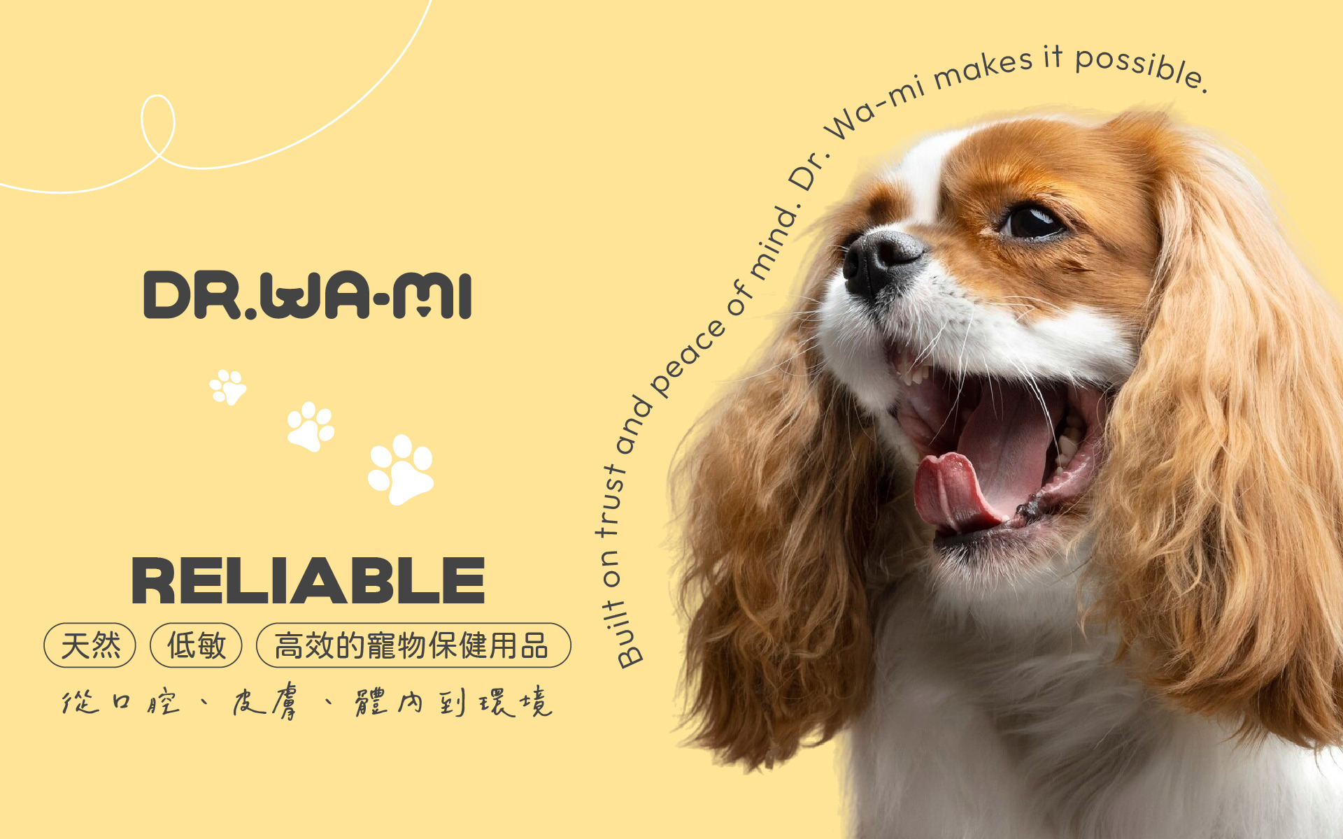 汪咪博土