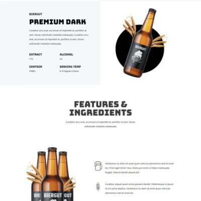 Landing Pages 登陸頁 / 版型三