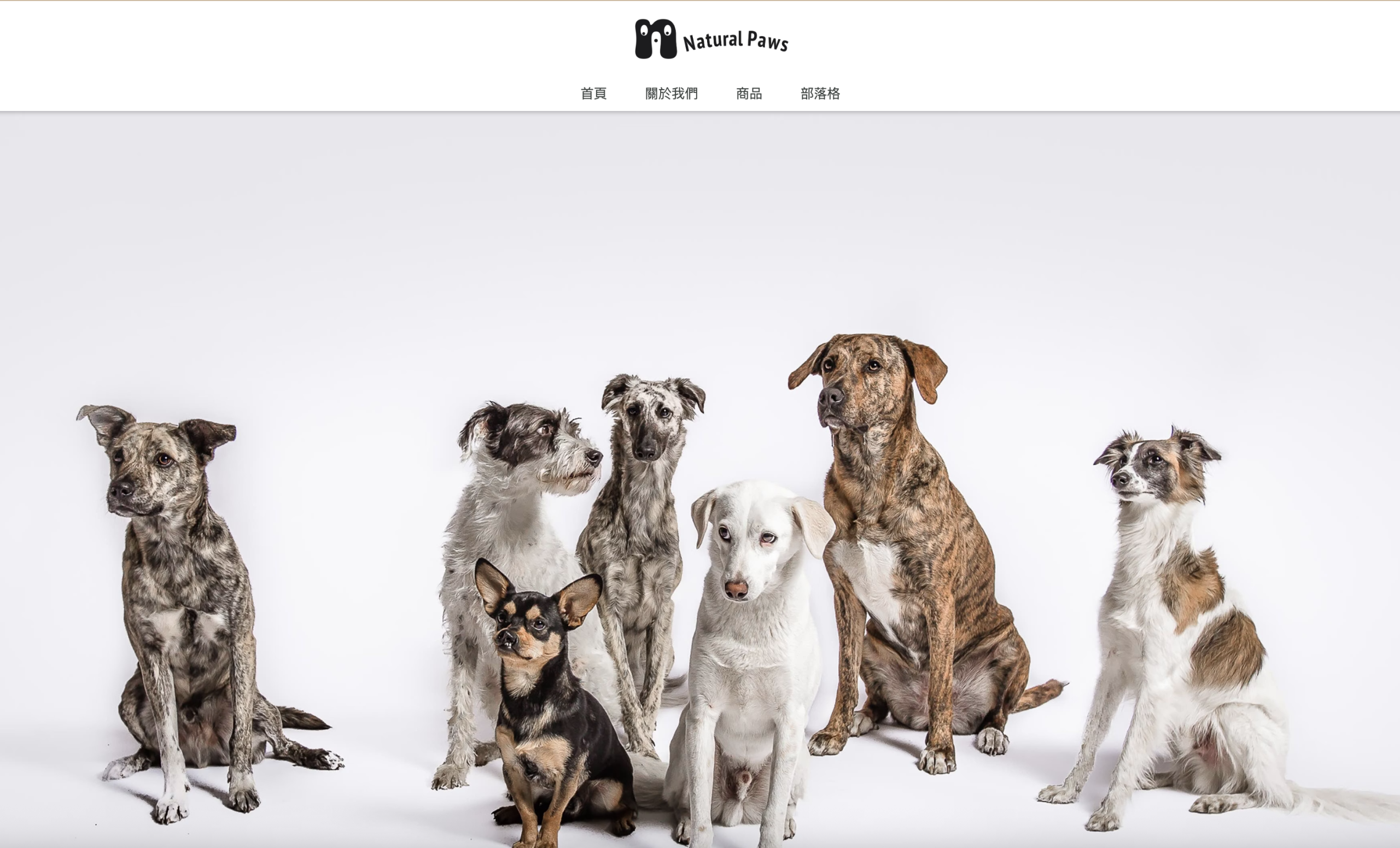 Home-數位行銷服務 8 SEO案例:自然寵